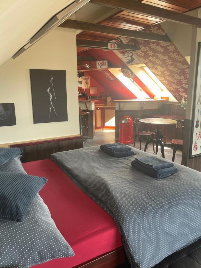 Stylove Apartmanky Frýdek-Místek Dış mekan fotoğraf