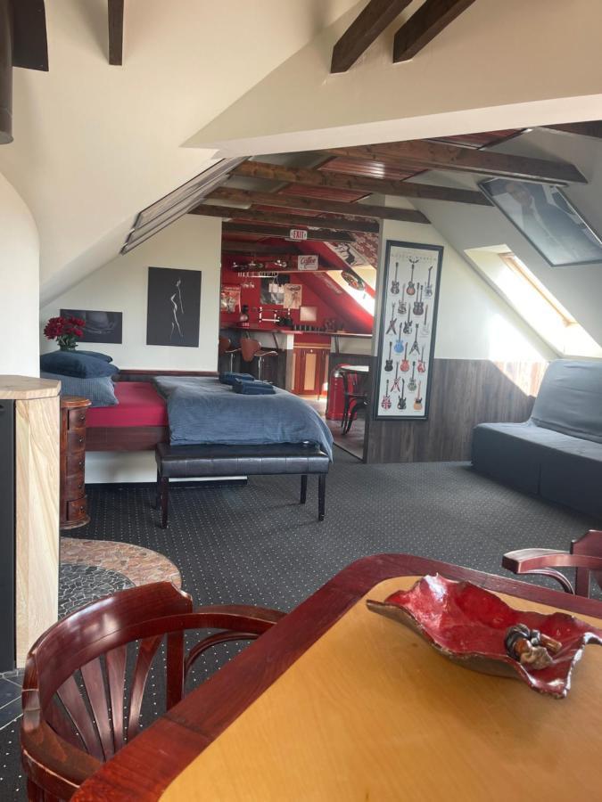 Stylove Apartmanky Frýdek-Místek Dış mekan fotoğraf